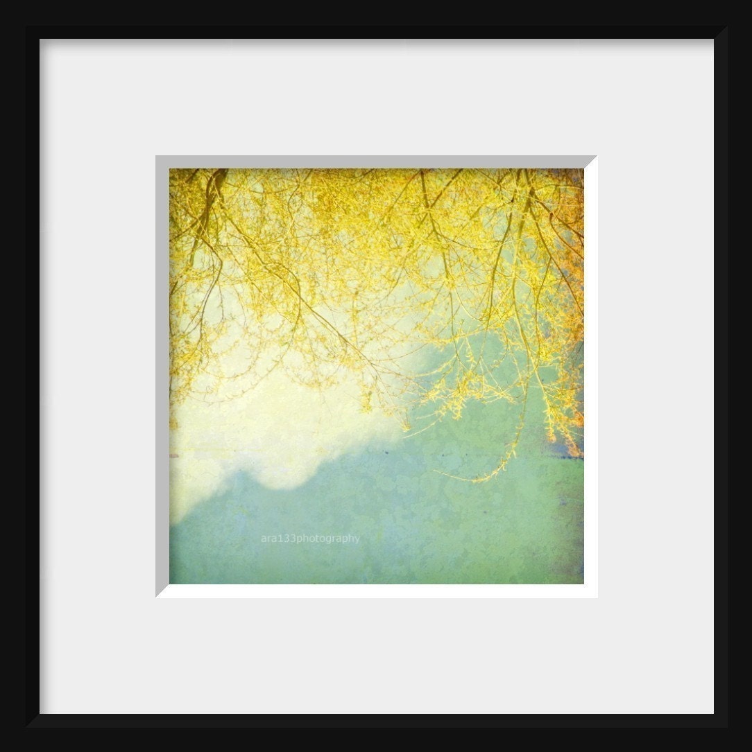 Nature Photography, Wall Decor, Landscape Picture, Yellow, Blue, White, Clouds, Cottage Chic - 8x8 inch Print - Willow