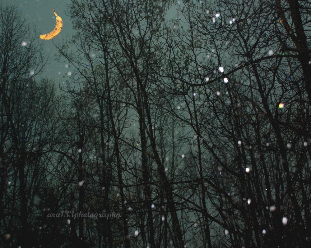 Whimsical Wall Decor, Night Sky Photograph, Surreal, Landscape Picture, Nature, Trees, Winter- 8x10 inch Print -Banana Moon