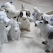 Cow Creamer Photograph, Still Life Photography, kitchen art, kitchen photograph - 5x7 inch Print - And They Sang All Day