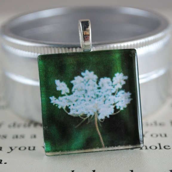 Queen Anne's Lace Fine Art Photo Glass Tile Pendant - Queen Anne's Lace Flower - White Blossom - Nature Photography