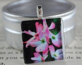 In the Pink Fine Art Photo Glass Tile Pendant - Pink Dogwood - Dogwood Blooms - Nature Photography