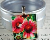 Light My Fire Fine Art Photo Glass Tile Pendant - Fiery Flower - Beach Flower - Nature Photography