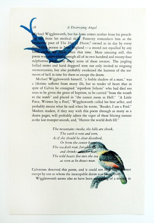 Vintage Book print art birds print recycled book page upcycled art