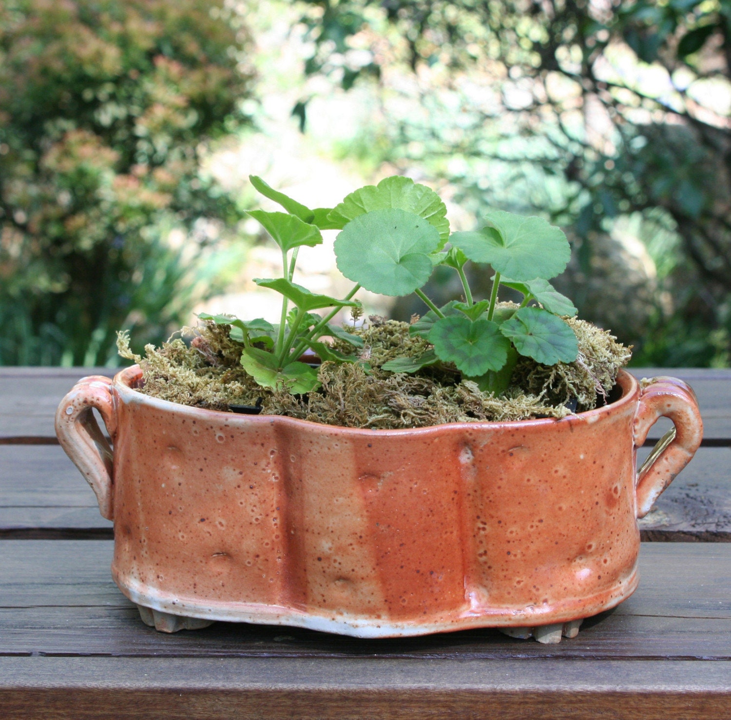 Shino Oval Planter