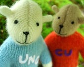 Pogo Team Mascot - eco friendly bear, handstitched