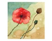 Poppy Temptation 11 art giclee PRINT 6x6  from original floral watercolor painting