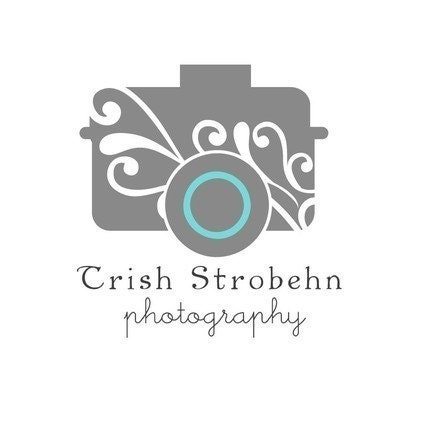 Business Logo Design Photography Logo includes by amber84