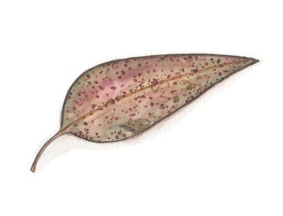 Fallen Leaf Art Print