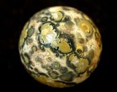 Vintage LEOPARD SKIN Jasper Focal Bead AA Grade 20mm pkg1 rb75y