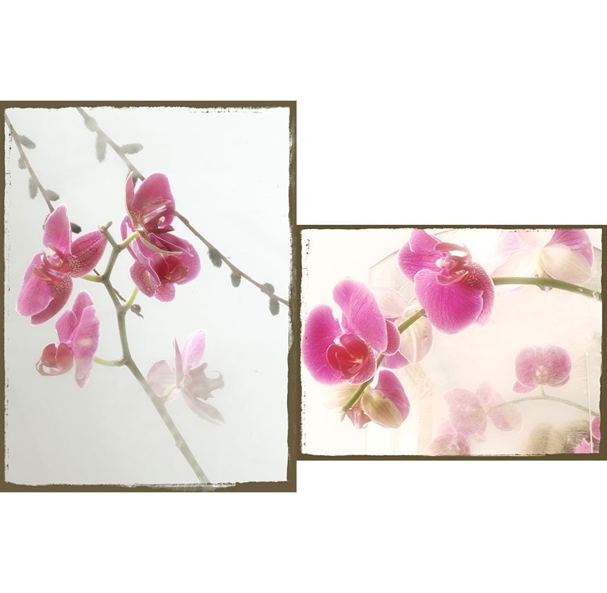 Still Life Orchid Photographs, Two Fioral Art Prints, Shabby Chic Wall Decoe, Flower Photography, Magenta  Orchids