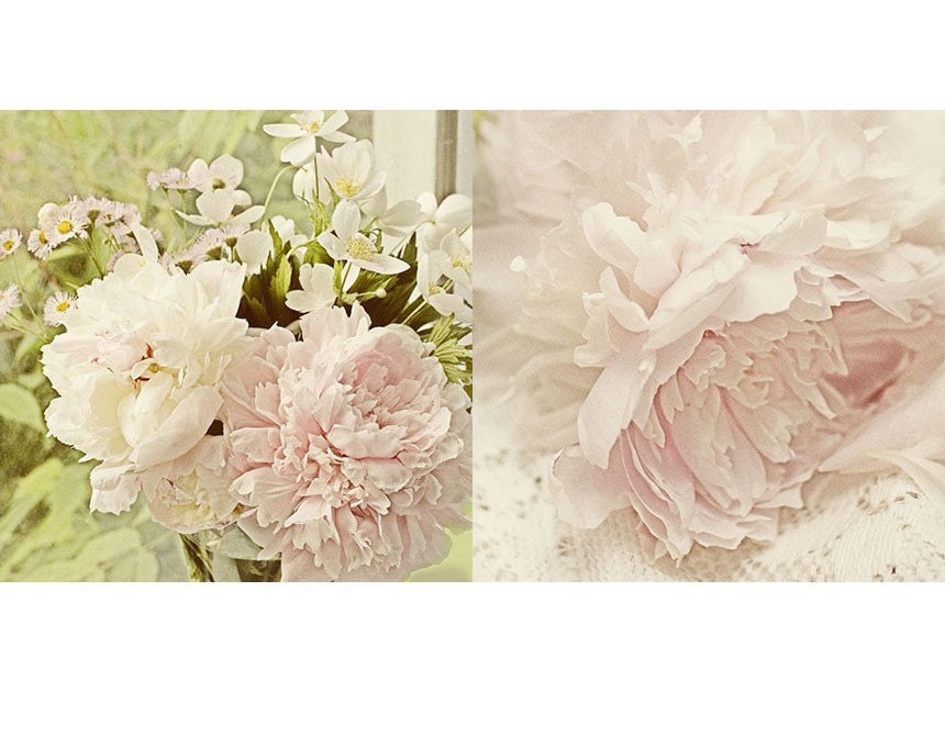 Two Peony Photographs, Pink Floral Wall Decor, French Country, Shabby Chic Home Decor, Flower Still Life