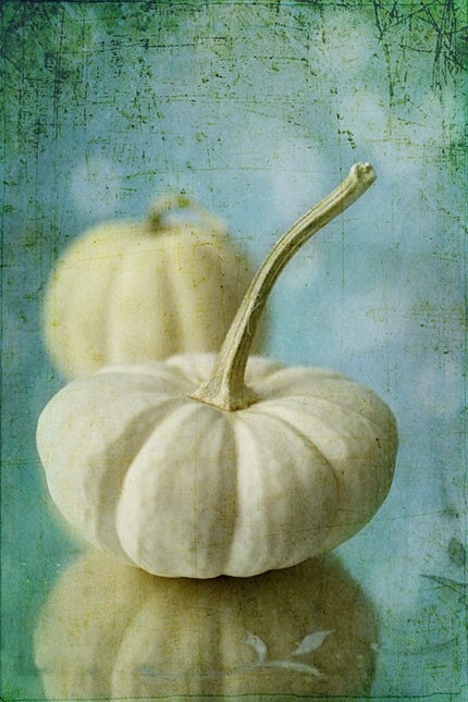 White Pumpkin Photograph,  Food Photography,  Vegetable Still Life, Kitchen Wall Decor