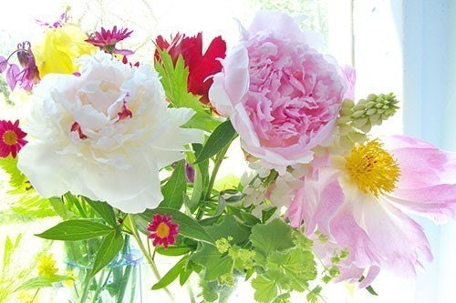 Peony Photograph,  Botantical Art Print,  Pink Flower Wall Decor, Flower Bouquet Still Life