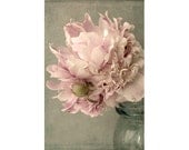 Pink Peony Photograph, Floral Art Print, Shabby Chic Wall Decor,  French Country Still Life