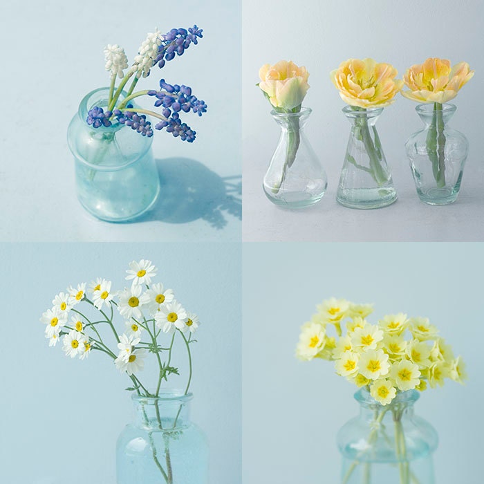 Flower Photographs Wall Decor, Still life Photos, Little Bouquets, Four Fine Art Prints, Botanical Art Prints, Shabby Chic Wall Art