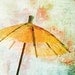 Japan Inspired Photograph, From the East,  Orange Paper  Umbrella, Tangerine Asian Decor