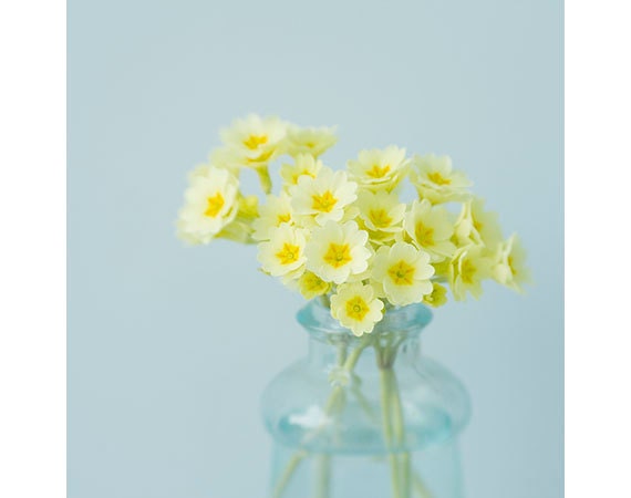 Flower Photographs Wall Decor, Still life Photos, Little Bouquets, Four Fine Art Prints, Botanical Art Prints, Shabby Chic Wall Art