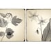 Sepia Botanical Art Prints, Monochromatic Wall Decor, Scanned Flowers and Foliage, Shabby Chic Home