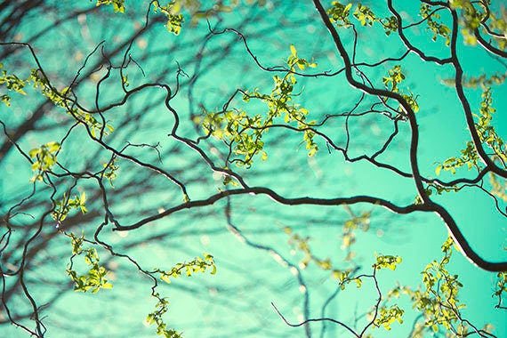 Four Sky Landscape Photographs, Nature Photography,  Turquoise, Chartreuse Wall Decor