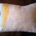 Feather Throw Pillow