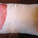 Feather Throw Pillow