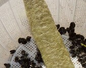 Loofah / luffa seeds