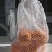 Combo 5 pack-reusable, washable produce bags