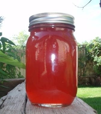 Red Plum Jelly