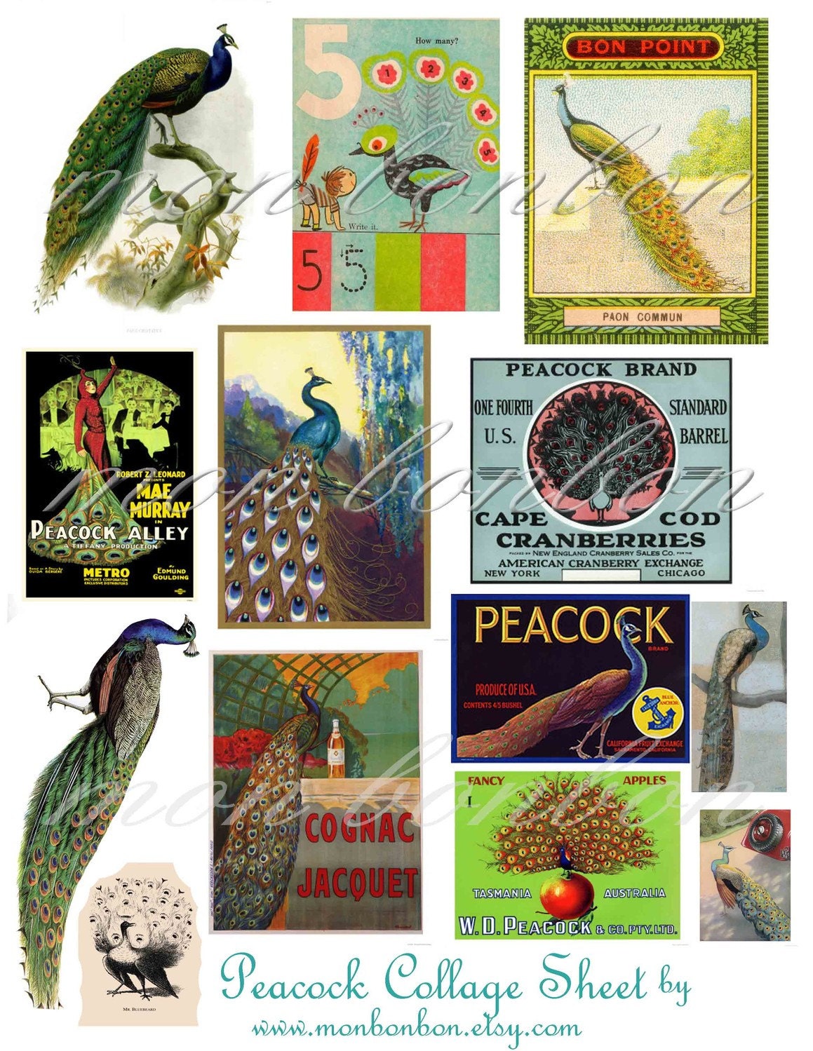 Peacock Images Collage Sheet - Digital Download You Print  perfect for your own artwork, crafts, cards, journals, ATC, ACEO, ZNE,