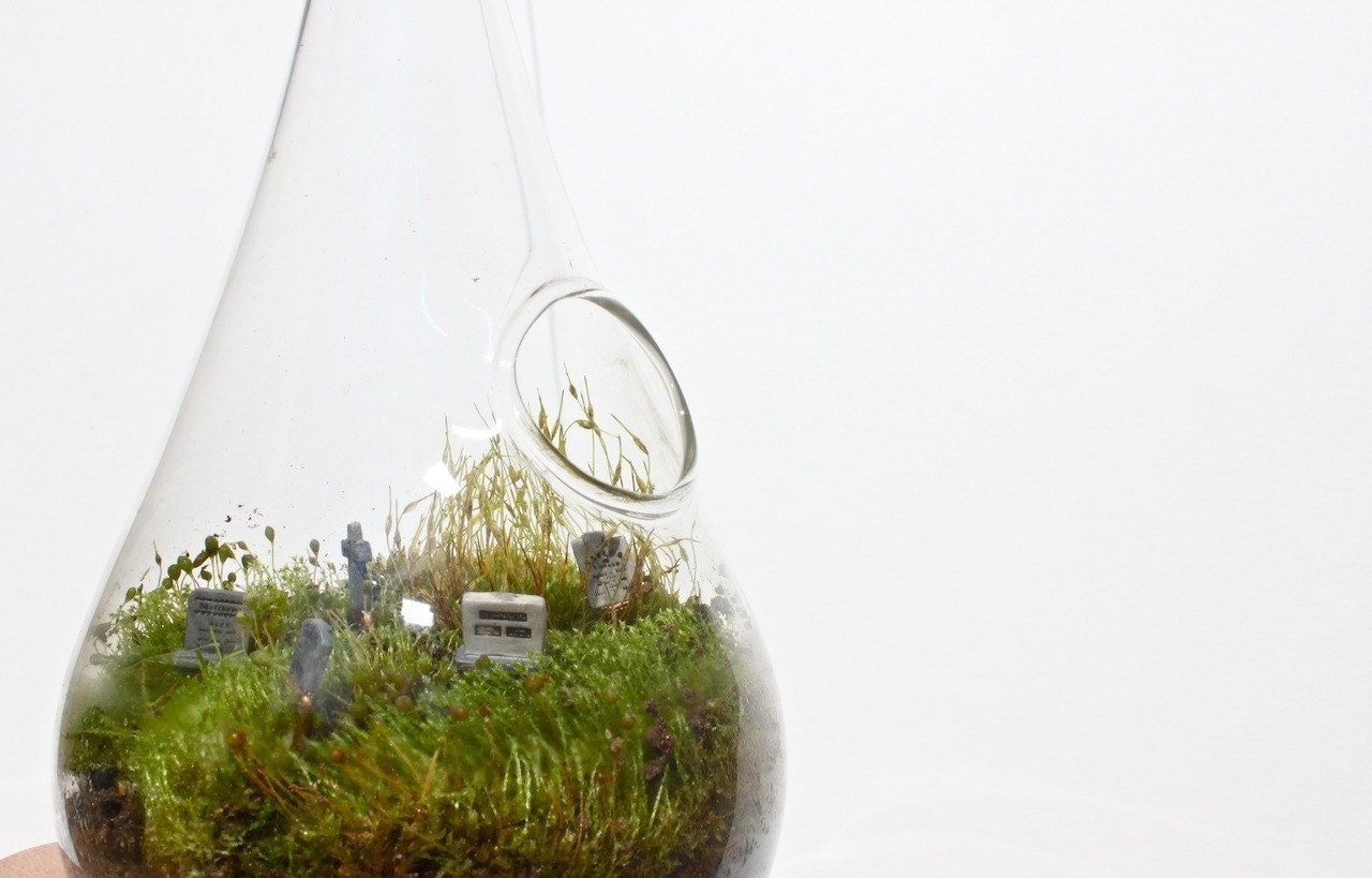Eerie Cemetery MOSS DROP Hanging Terrarium KIT