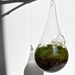 Eerie Cemetery MOSS DROP Hanging Terrarium  KIT