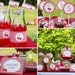 Cherry Picnic Birthday Party - PRINTABLE ONLY - Banner, Toppers, Tags, Invitation and more