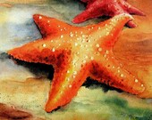Starfish in LOVE... Coastal  Beach Decor 8X10 WATERCOLOR  Art print by Barry Singer