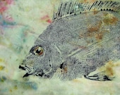 Porgy or Scup Fish rubbing (GYOTAKU) Beach House Decor Original on stained cloth
