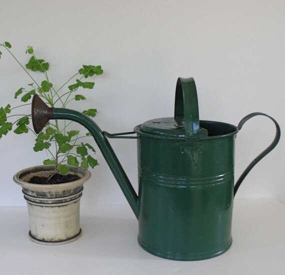 FOR THE GARDENER Large Antique Watering Can