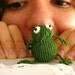 MEET MY SISTER frog amigurumi