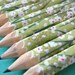 mini japanese paper-wrapped pencils - set of 10 - lime meadow