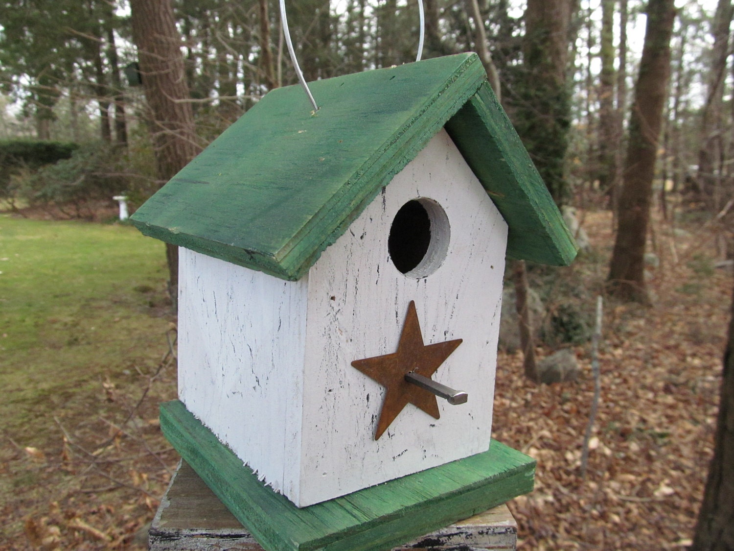 Green White Primitive Birdhouse Rusty Metal Star Chickadee Wren Cute Songbirds
