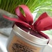 Indoor Wheat Grass Garden Kit ... summer in a can