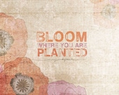 Bloom Where You Are Planted NEW