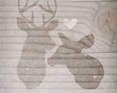 Young Love- Deer Couple
