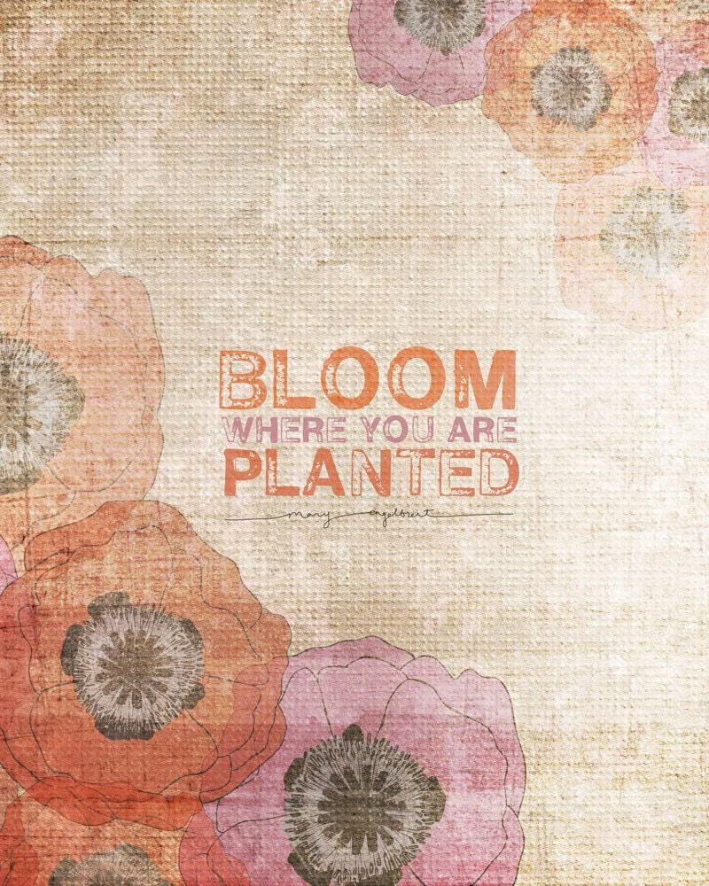 Bloom Where You Are Planted NEW