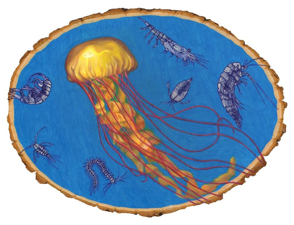 Love at First Shock jellyfish print 11x14