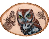 Hootbot Illustration Print 8x10 Owl