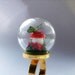 Green Butterfly Red Mushroom Moss Mini Summer Terrarium Glass Dome Ring