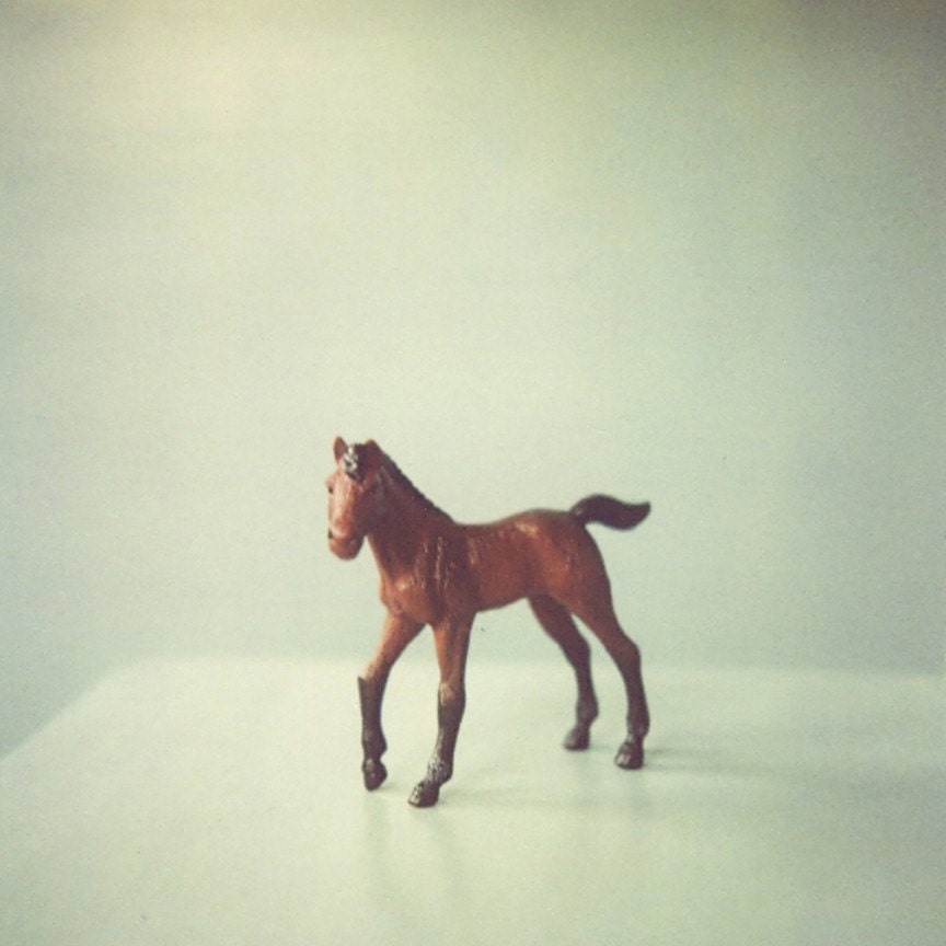 The Horse - 8x8" polaroid photograph