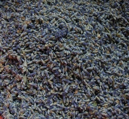 A Little Magic 1 ounce 1 cup of Fragrant Organically Grown Dried Lavender Flower Buds