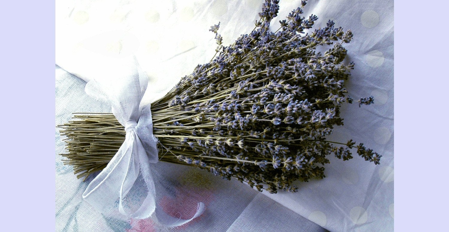Double Brides Bouquet of English Lavender