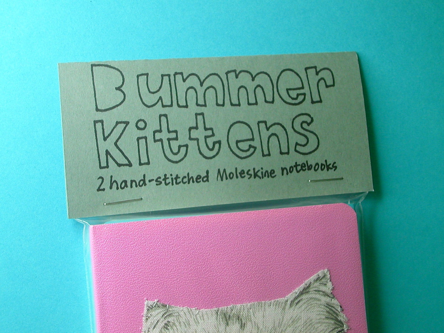Bummer Kittens set of two pocket notebooks