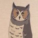 Set of six owl cards (100% recycled)